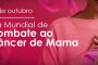 19 de Outubro - Dia mundial de combate ao Câncer de Mama.