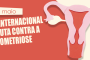 Sinthoresp reforça a importância da prevenção e do diagnóstico da endometriose