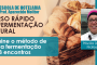 Curso rápido de Fermentação Natural: domine o método de longa fermentação em 3 encontros
